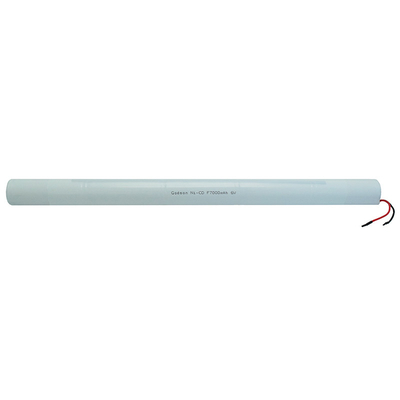 Charge standard de la batterie rechargeable NiCd D4000mAh 2.4V 0.1C