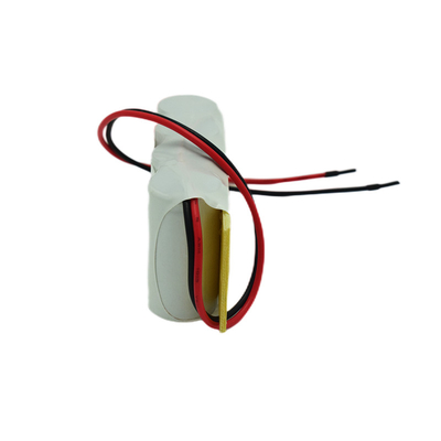Batterie 2500mAh 4.8V de Cd de Ni de lumière de secours de taille de C côte à côte