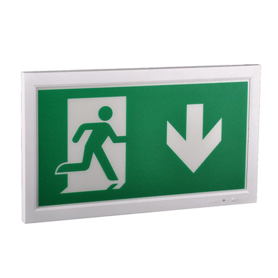 Sortie d'éclairage LED de secours à batterie lithium-ion intérieure R blanc 4W 50lm