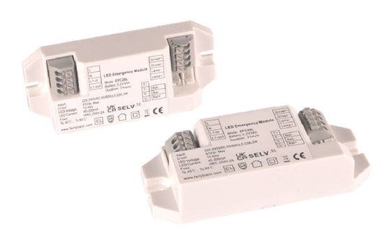 Invertisseur d'éclairage d'urgence LiFePO4 entretien type 2W EPC20H Module d'alimentation d'urgence petit