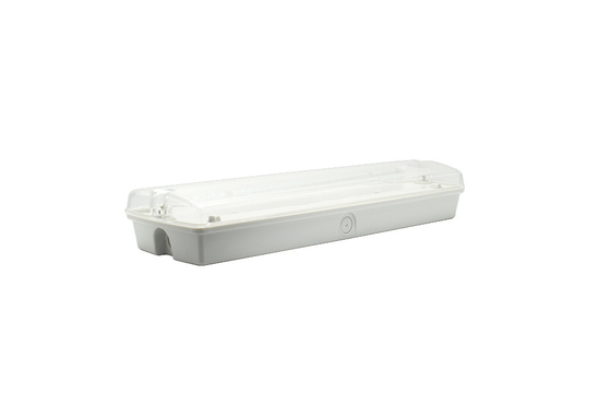 IP65 1,5-3W Lampes LED d'urgence pour cloisons AC 220V Matériau ABS